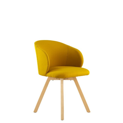 Čalouněná křeslo Alata Wood