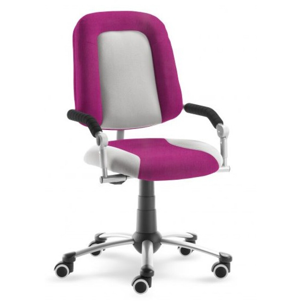 Dětská rostoucí židle Freaky Sport 2430 08 kombinace barev - Mystic 30 208 růžová / Aquaclean 30 464 šedá