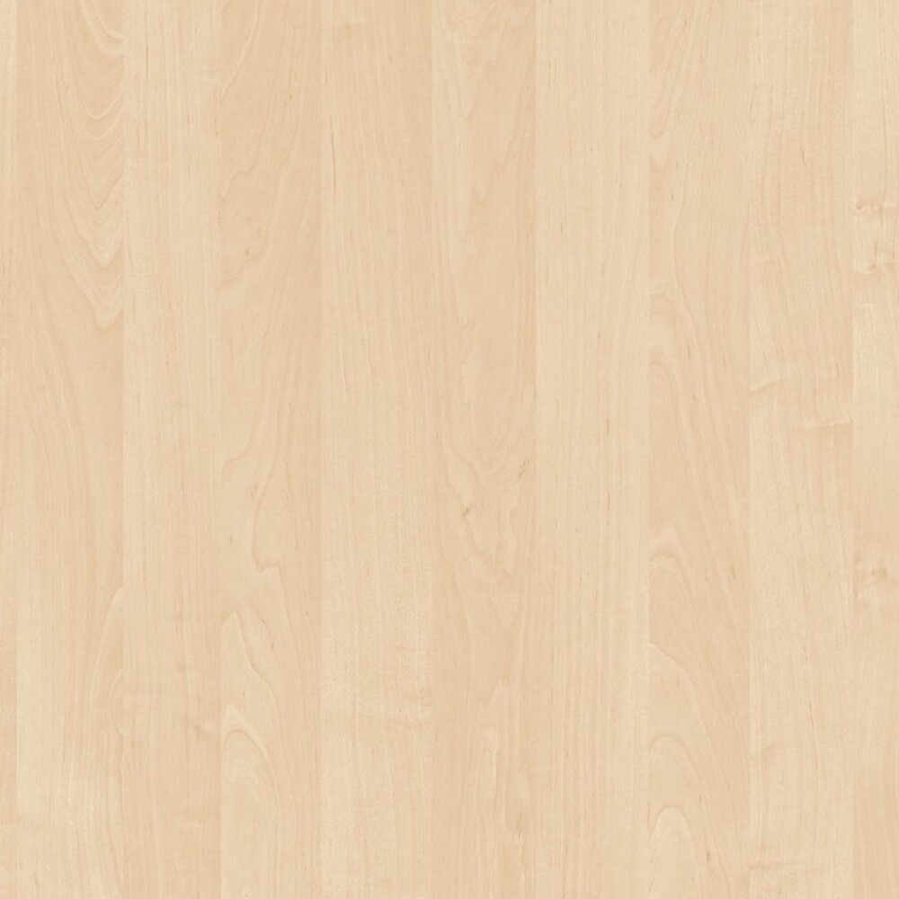 Dekor bříza - světlý dřevodekor