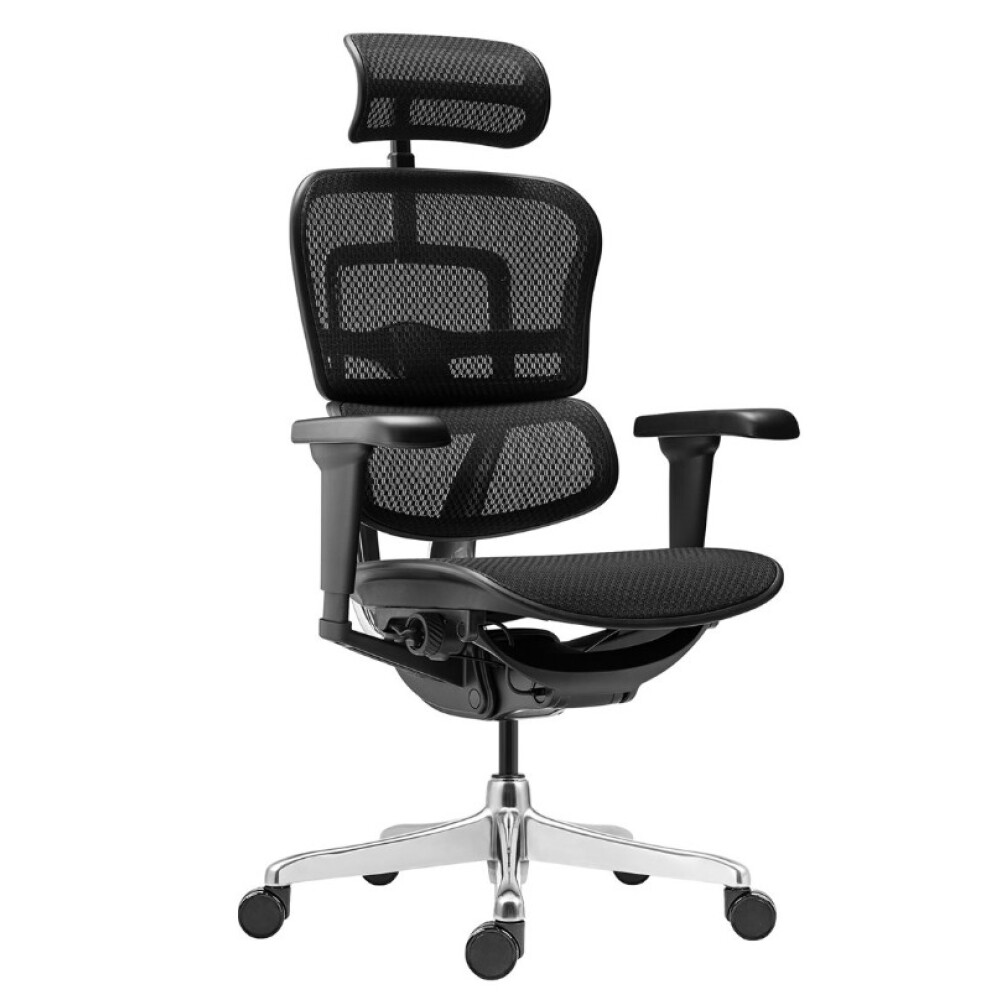 Kancelářská židle ERGOHUMAN 2 Ultra Black