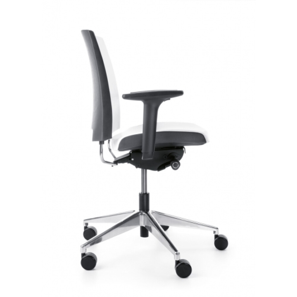 Funkční kancelářská židle ARCA, černé Područky
