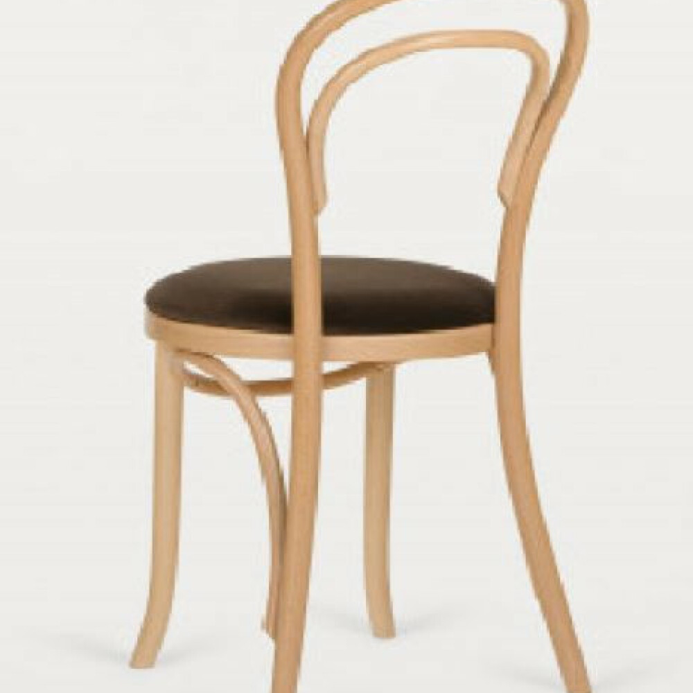 Čalouněná židle A-1880