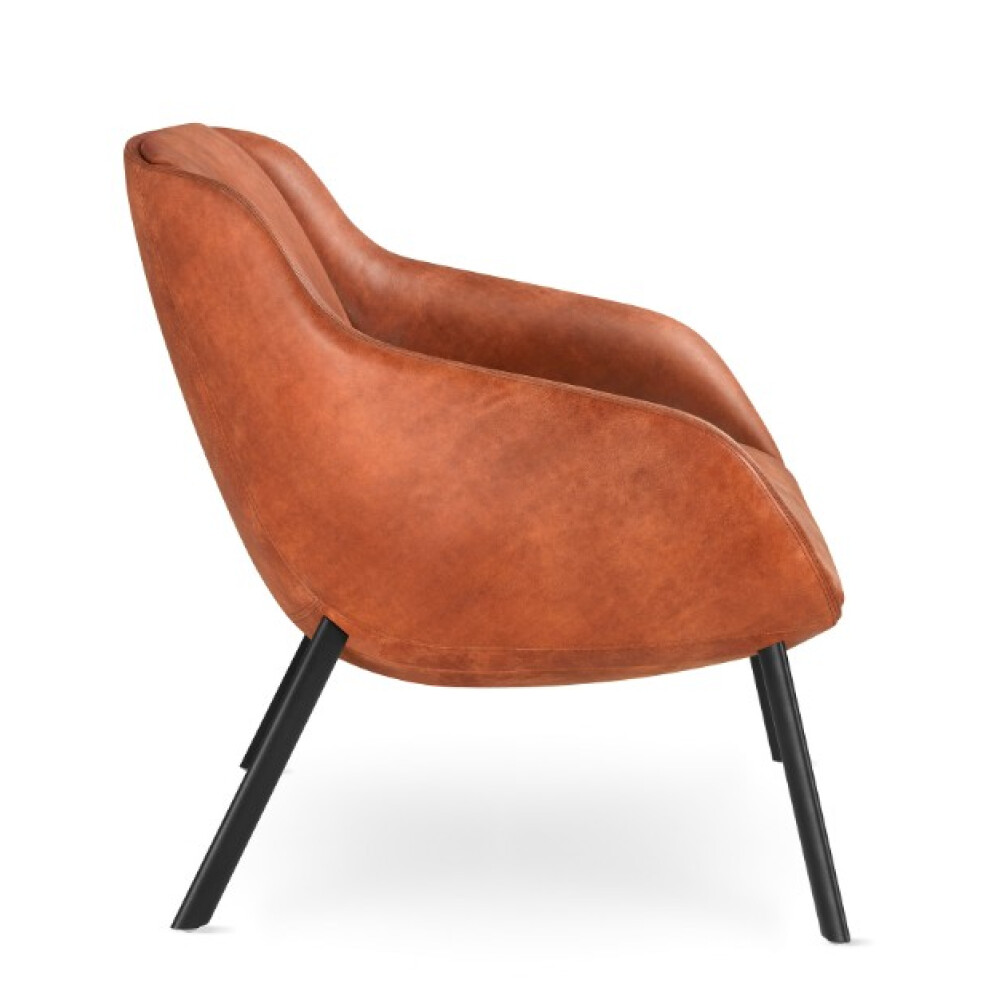 Křeslo Terra Lounge TE-L-N