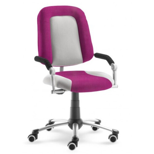Dětská rostoucí židle Freaky Sport 2430 08 kombinace barev - Mystic 30 208 růžová / Aquaclean 30 464 šedá