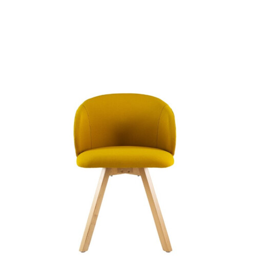 Čalouněná křeslo Alata Wood