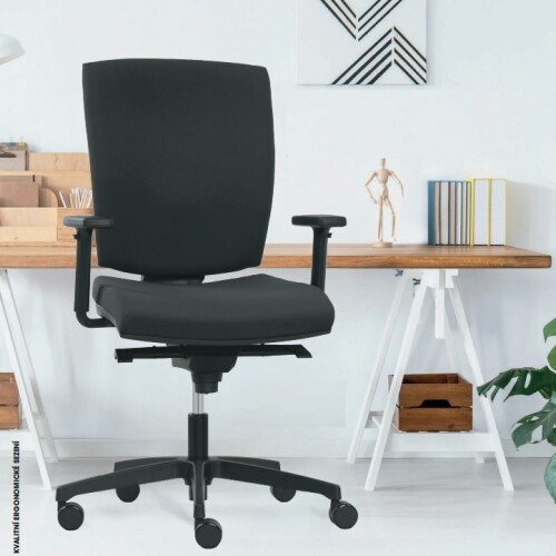 Kancelářská židle ANATOM 986B