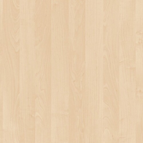 Dekor bříza - světlý dřevodekor