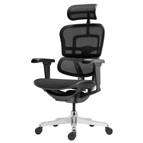 Kancelářská židle ERGOHUMAN 2 Ultra Black