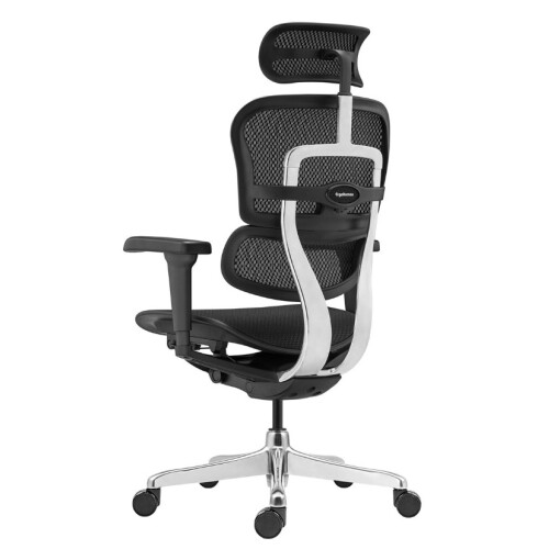 Kancelářská židle ERGOHUMAN 2 Ultra Black