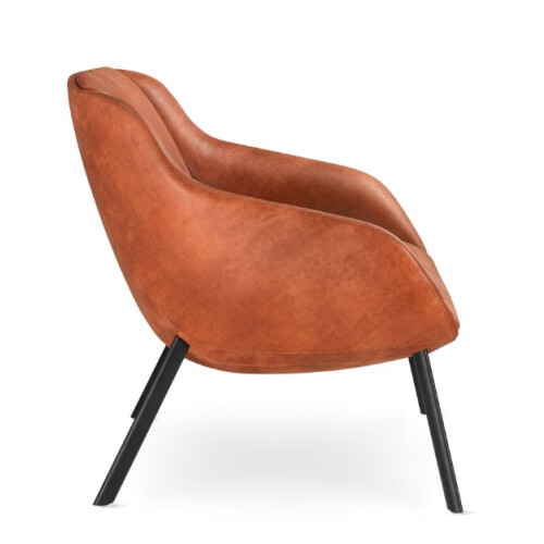 Křeslo Terra Lounge TE-L-N