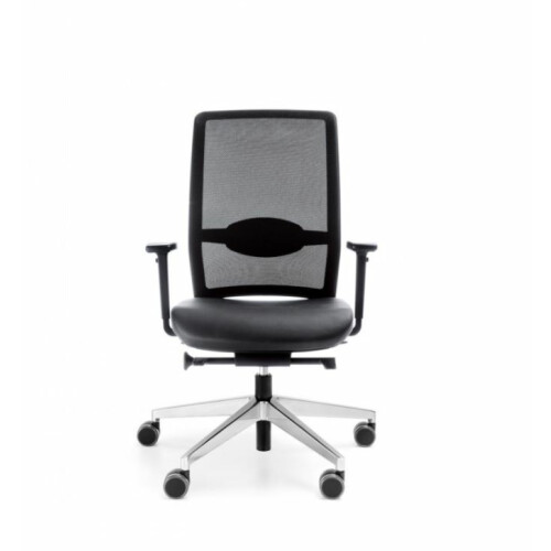 Kancelářská židle VERIS NET 100 / 101 SFL
