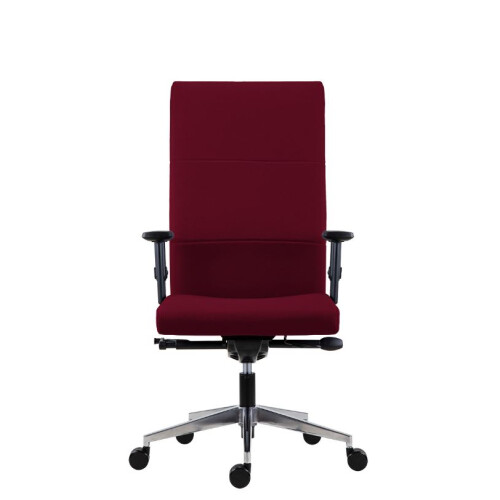 Kancelářské křeslo 8100 Vertika XXL + BR06