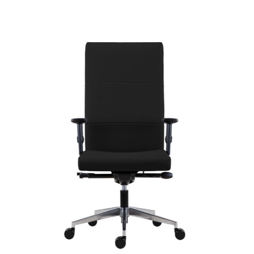 Kancelářské křeslo 8100 Vertika XXL + BR06