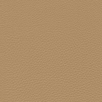 Ginkgo 23