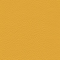 Ginkgo 21