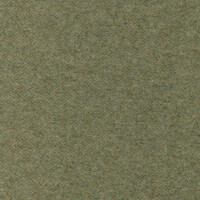 WOOL 43