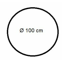 100 cm