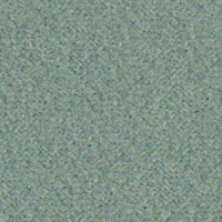 Eucalyptus 193