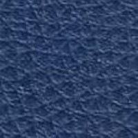 GI 011