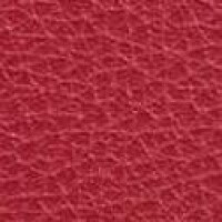 GI 026