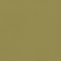 Silvertex - celery 5019