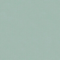 Silvertex - Coral 2102