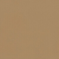 Silvertex - Champagne 1078